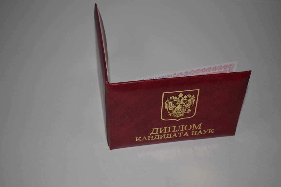 Диплом Кандидата Наук 2013-2016 в Магнитогорске корка